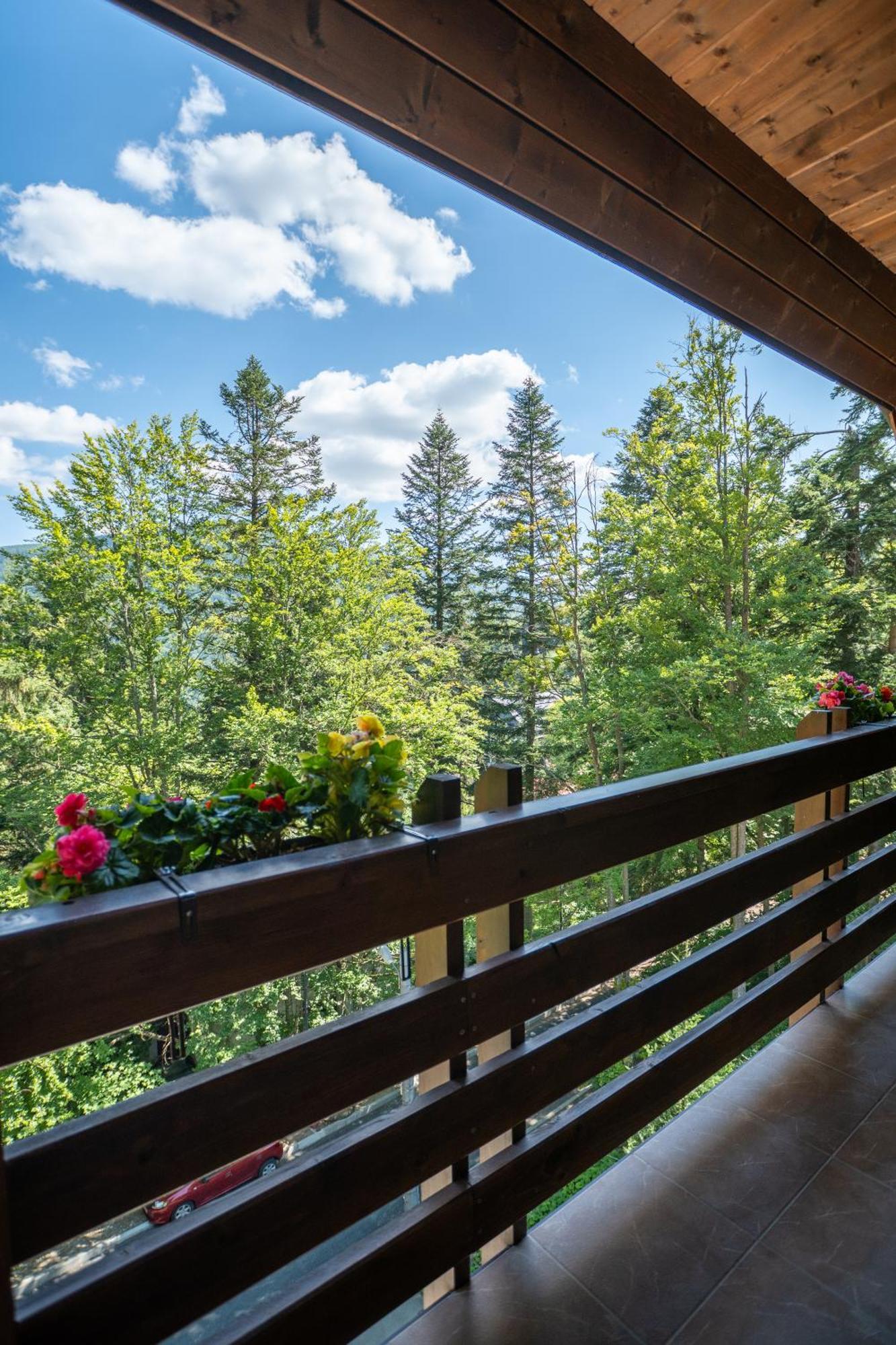 Opus Villa Sinaia Exteriör bild A balcony in the Alps