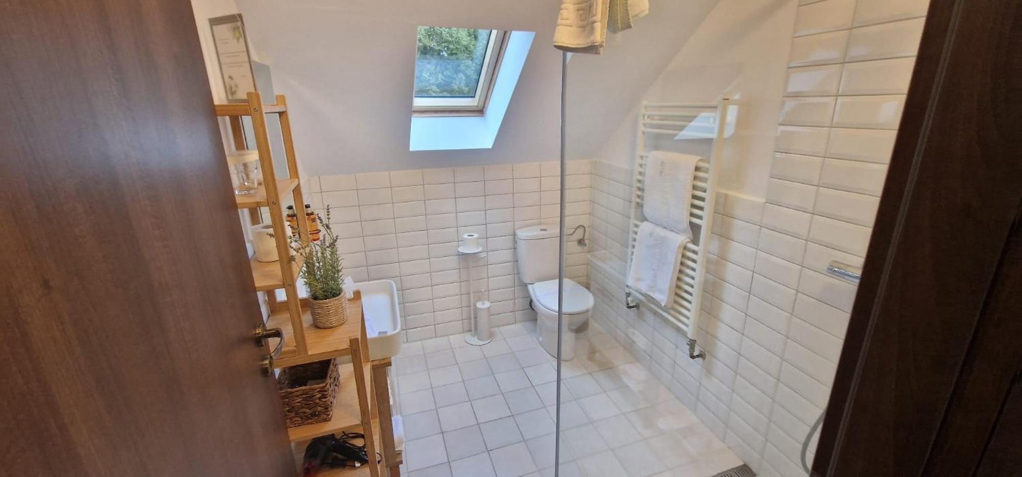Opus Villa Sinaia Exteriör bild Bathroom with a shower
